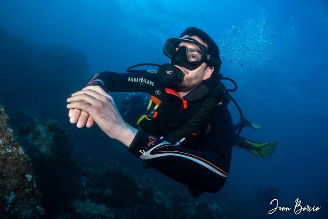 PADI Open Water Diver Course - Why This Course Stands Out