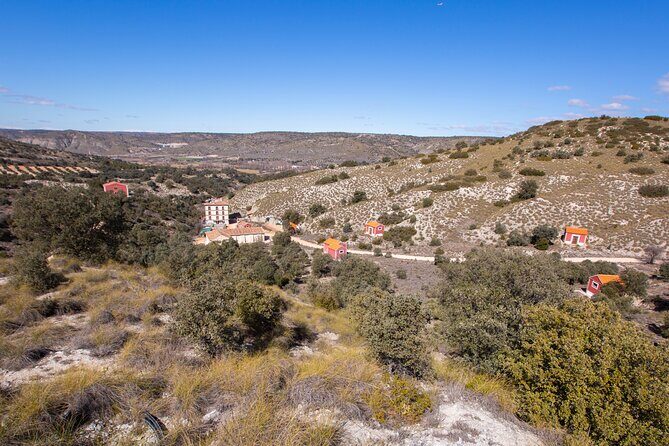 Paella, Olive Oil, Wine & Relax in Rural Estate outside Madrid - Practical Details and Considerations