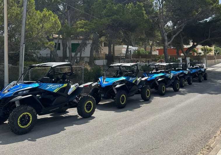 Paguera: 2 Hour Buggy Tour - Summary