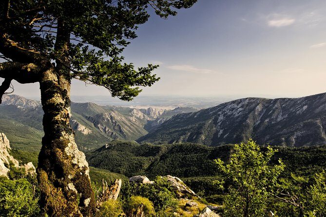 Paklenica National Park Admission Ticket - What the Tour Includes and What You Need to Know