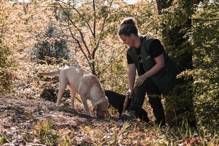 Paladini: Truffle Hunting Tour with 3-Course Tasting Menu - Practical Tips for Visitors
