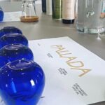 Pallada Semi-Private Olive Oil Tours in Sternes, Chania - A Deep Dive into the Experience