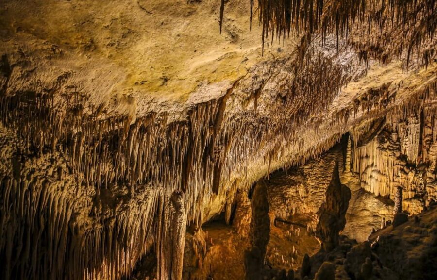 Palma: Caves of Drach Entrance, Music Concert, and Boat Trip - A Closer Look at the Itinerary