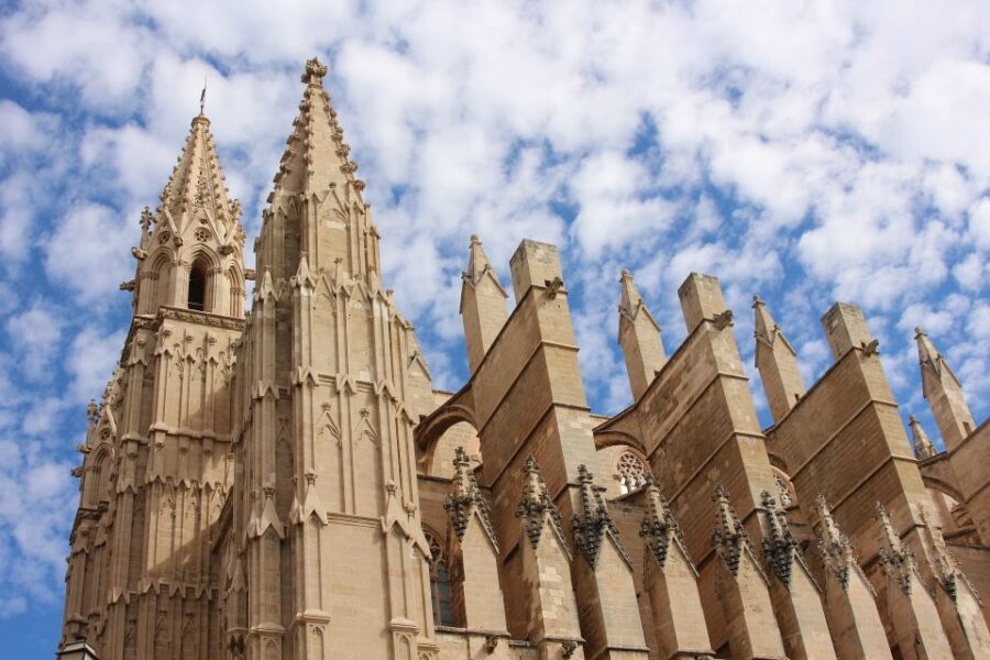 Palma: City, Cathedral and Valldemossa with pick up service - Who Will Enjoy This Tour?