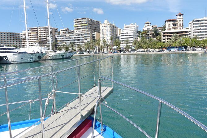 Palma de Mallorca Bay Boat Trip - Authentic Insights from Travelers