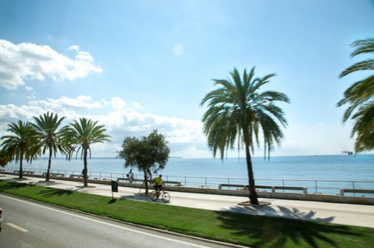 Palma de Mallorca: Full-Day Tour with Departure Options - Who Would Love This Tour?