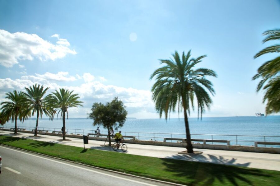 Palma de Mallorca: Full-Day Tour with Departure Options - Who Would Love This Tour?