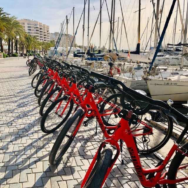 Palma de Mallorca: Guided Bicycle Tour with Tapas & a Drink - An Engaging Way to Explore Palma de Mallorca