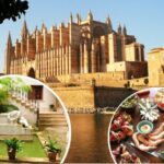 Palma de Mallorca: Guided Tour of the Old Town - Who Should Take This Tour?