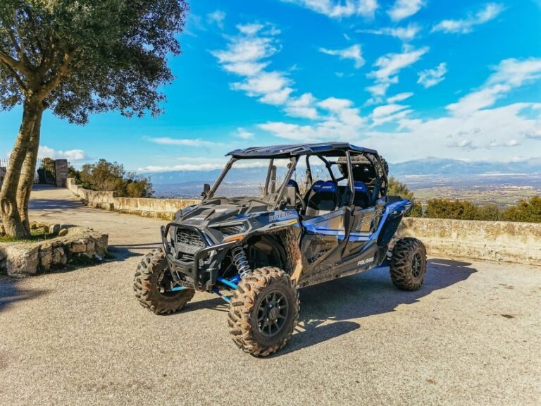 Palma de Mallorca: Off/On Road Buggy Tour with 2 or 4 Seater - What to Expect During the Tour