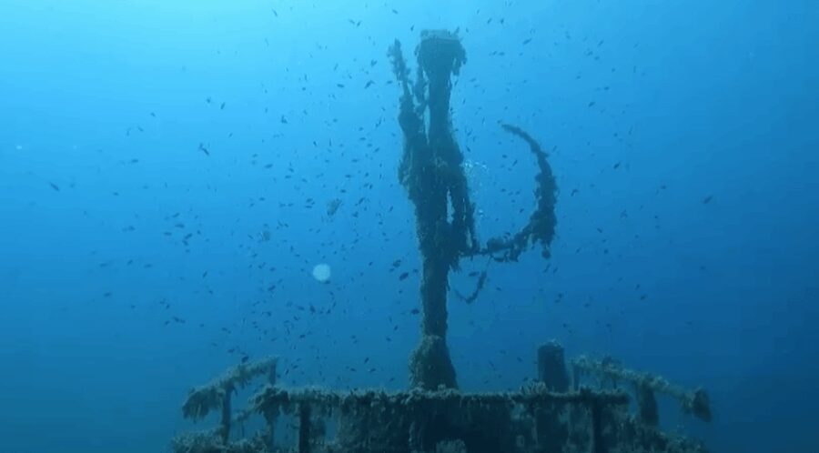 Palma de Mallorca: PADI Open Water Diver Course - Final Thoughts