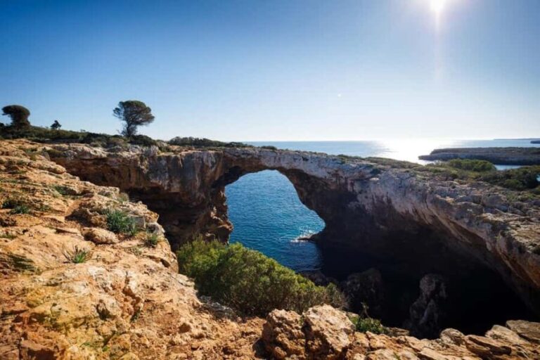 Palma de Mallorca: Private Drach Caves and East Coast Tour - Who Is This Tour Best For?