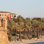 Palma de Mallorca Private Walking Tour with tour guide - Who Will Love This Tour?