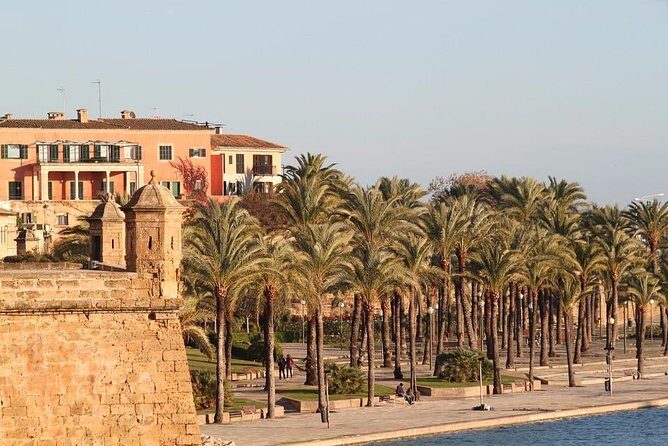 Palma de Mallorca Private Walking Tour with tour guide - Who Will Love This Tour?