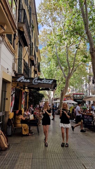 PALMA DE MALLORCA & SOLLER MIT BAHN & STADTFÜHRUNG ab Palma - Who This Tour Is Perfect For