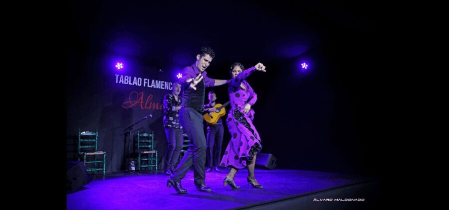 Palma: Flamenco Show at Tablao Flamenco Alma with Drink - An Authentic Flamenco Encounter in Palma