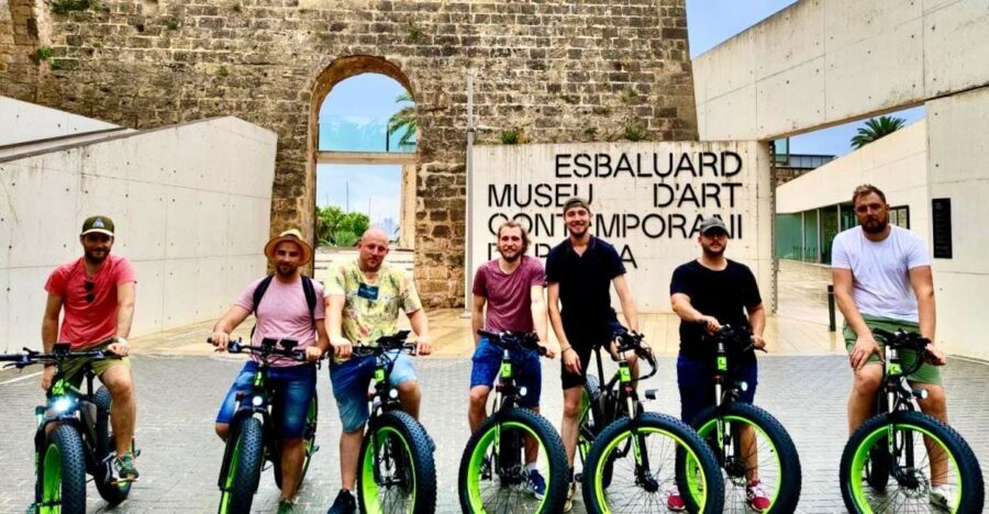 Palma: Guided City Tour with a Fat Tire E-Bike - Who Would Love This Tour?