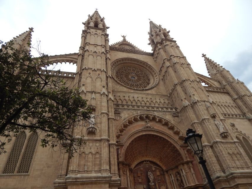 Palma: Old Town Tour & Cathedral Skip-the-Line Ticket - Who Is This Tour For?