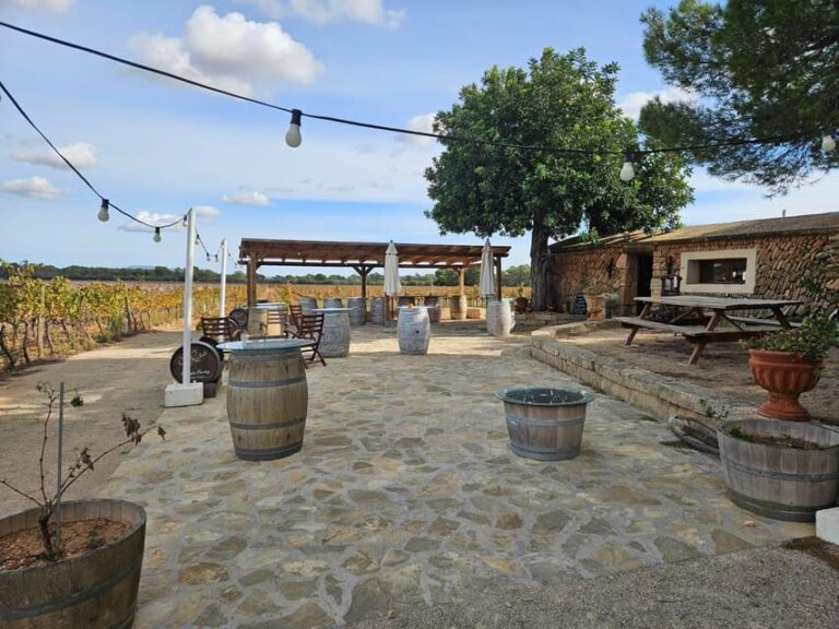 Palma: QI GONG at BODEGAS BORDOY - The Experience and Its Benefits