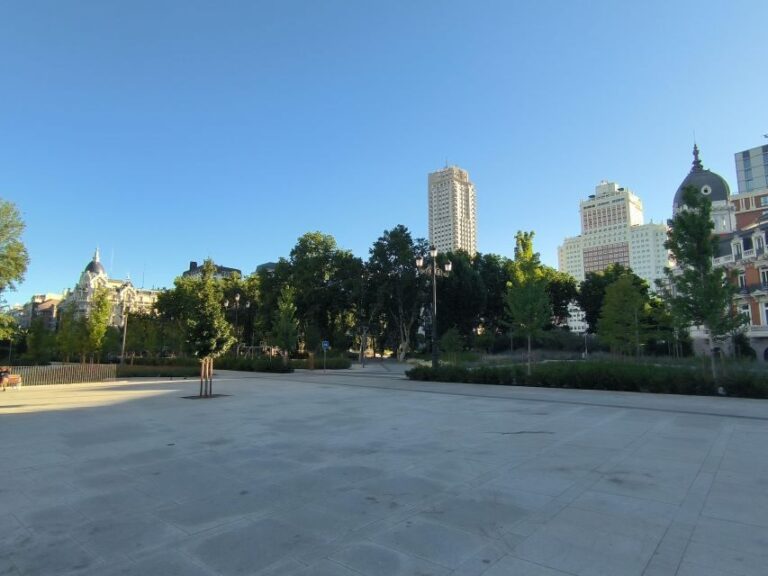 Panoramic Tour of Madrid with Private Guide and Private Car - Exploring Madrid: What to Expect from This Tour