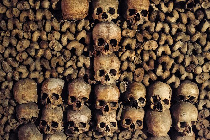 Paris Catacombs Tour - Why This Tour Stands Out