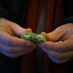 Paris Food Tour - An In-Depth Look at the Paris Food Tour