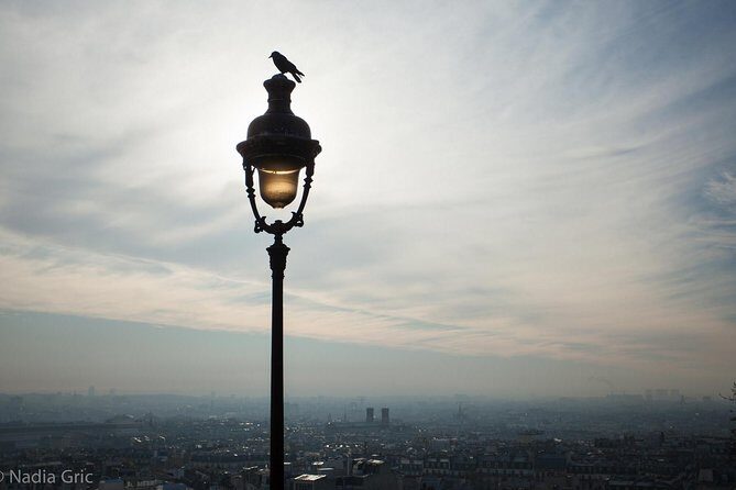 Paris Half Day Private Customized Walking Tour, Transport Options - Who Should Consider This Tour?