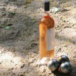 Paris Learn How to Play Pétanque French Experience - Insights from Travelers’ Experiences