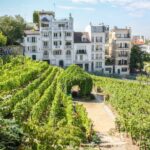 Paris Montmartre & Sacre Coeur Semi-Private Guided Tour 12pp - Deep Dive into the Montmartre & Sacré Coeur Tour Experience