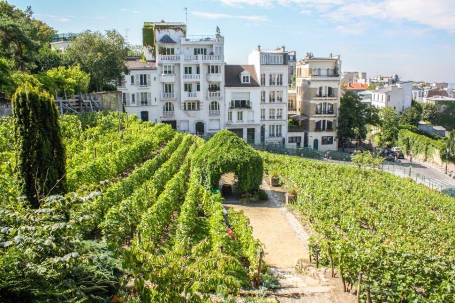 Paris Montmartre & Sacre Coeur Semi-Private Guided Tour 12pp - Deep Dive into the Montmartre & Sacré Coeur Tour Experience
