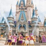 Paris Private Transfer Disneyland - Frequently Asked Questions