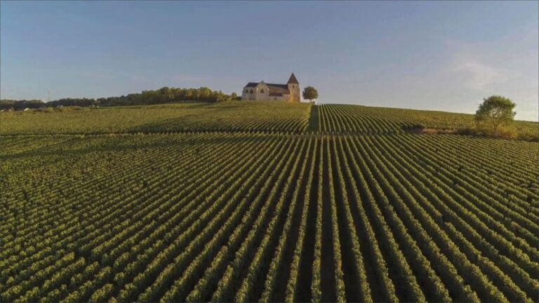 Paris VIP: Champagne Region Private Chauffeur Driven 12hrs - A Detailed Look at the Champagne Region Private Tour
