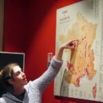 Paris Wine and Cheese Tastings Class near Le Marais - Final Thoughts