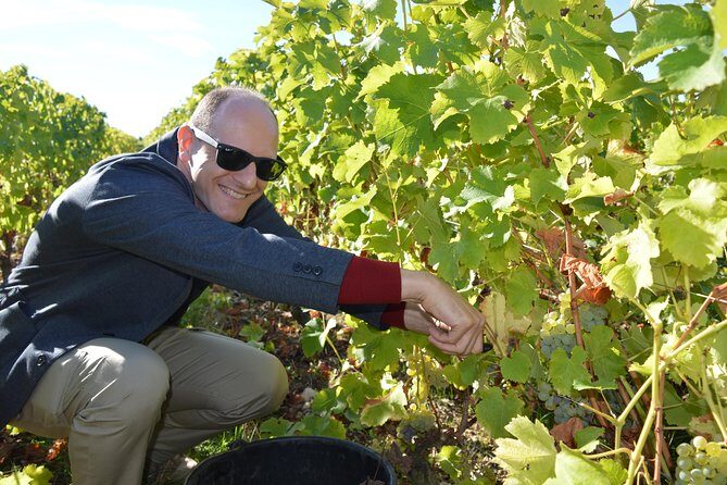 Paris Wine Day Tours exclusive Champagne tour incl. 3 visits - FAQs