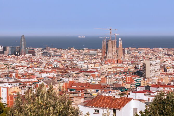 Park Guell Guided Group Tour with Optional Sagrada Familia - Who Should Book This Tour?