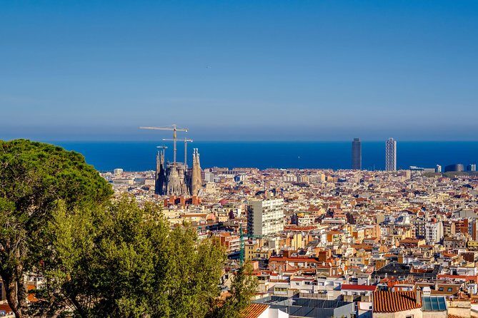 Park Guell Guided Private Tour - A Deep Dive into the Experience