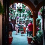 Patios of Cordoba Walking Tour - The Itinerary: What to Expect on the Tour