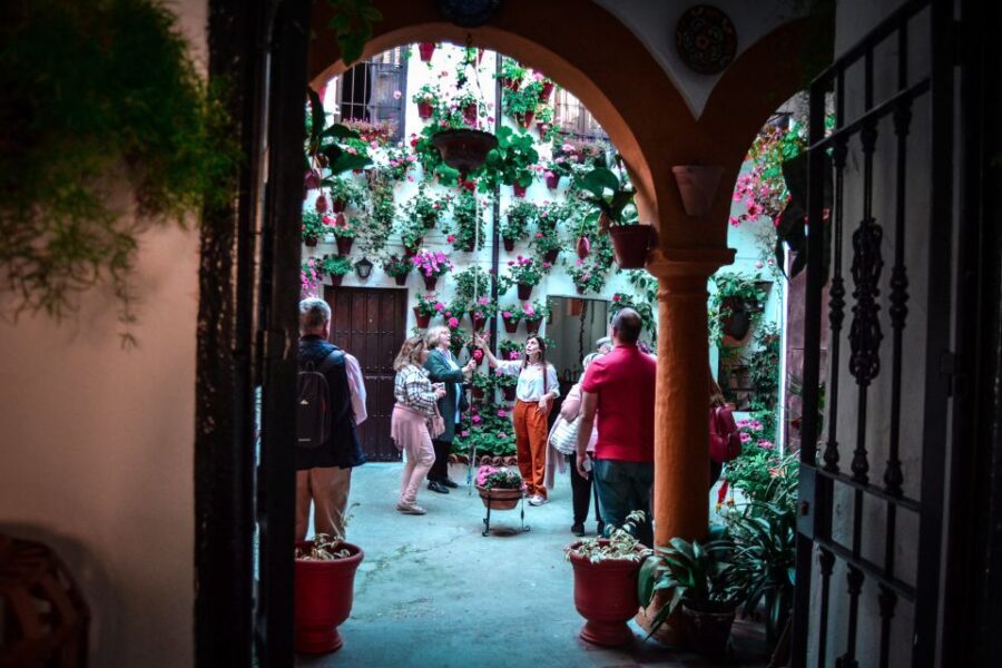 Patios of Cordoba Walking Tour - The Itinerary: What to Expect on the Tour