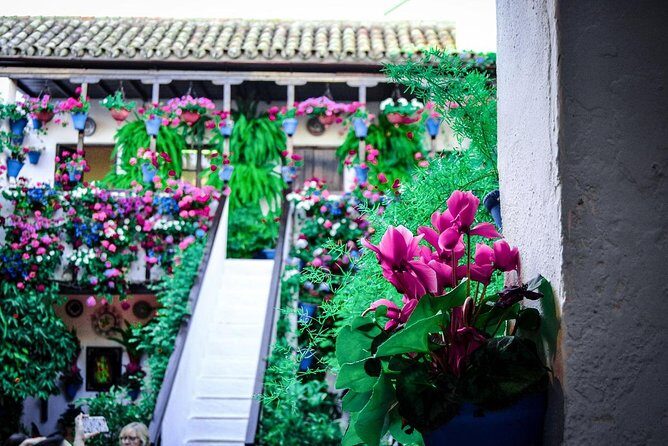 Patios tour in Cordoba - FAQs About the Patios Tour in Córdoba