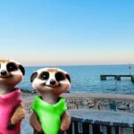 Peguera: The lovely Magical Creatures of Peguera,family walk - What We Love About The Experience