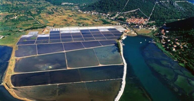 Peljeac Wine & Oyster Tasting Private Tour - Why This Tour Is a Great Choice