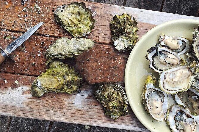 Peljesac Wine & Ston Oysters PRIVATE HALF DAY SHORE TOUR - A Detailed Look at the Tour Experience