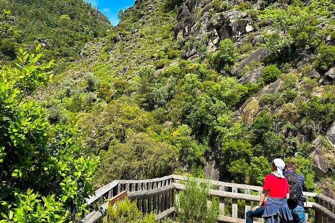 Peneda - Gerês National Park Lagoons and Waterfalls Tour - What Past Travelers Say