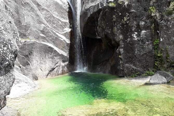 Peneda-Gerês National Park - Nature & Tastings - - Authenticity, Value, and Who Will Love This Tour