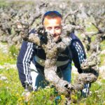 Penedès/BCN: Self-Guided eBike Tour with guided Winery Visit - Exploring the Penedès Wine Region by Bike