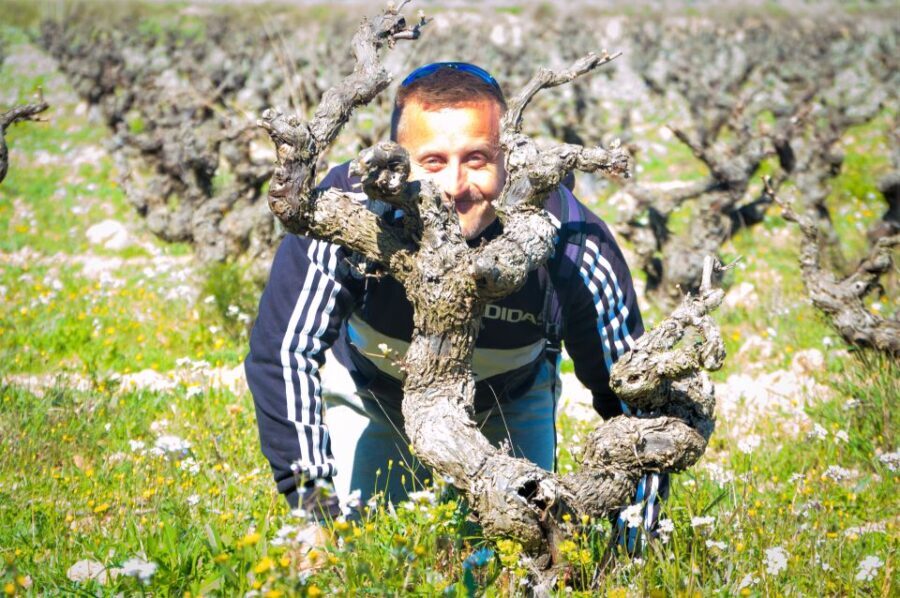 Penedès/BCN: Self-Guided eBike Tour with guided Winery Visit - Exploring the Penedès Wine Region by Bike