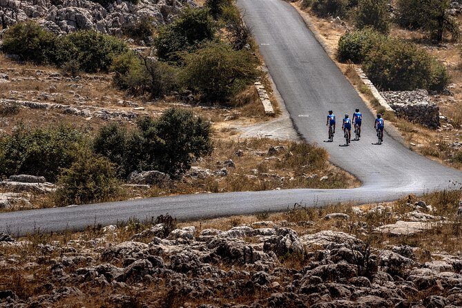 Personalised Road Bike Tour in Malaga - The Routes and Terrain
