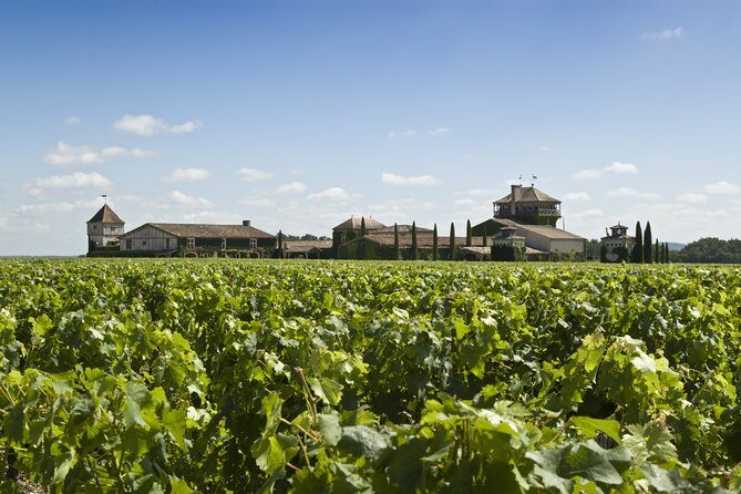 Pessac Leognan 4.5 hours Wine Tour in a Citroën 2CV from Bordeaux - FAQs