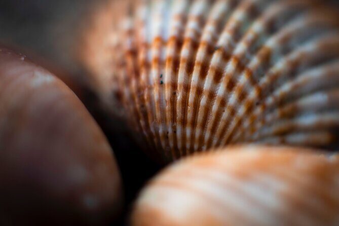 Photo Walking Tour in Sitges - FAQ