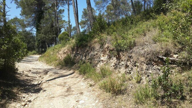 Photography route through the secret nature of Barcelona - What’s Included and What to Bring